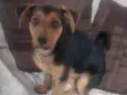 Milly