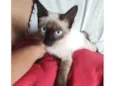 Bebezinha 