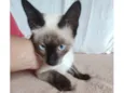 Bebezinha 