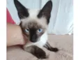 Bebezinha
