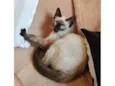 Bebezinha 