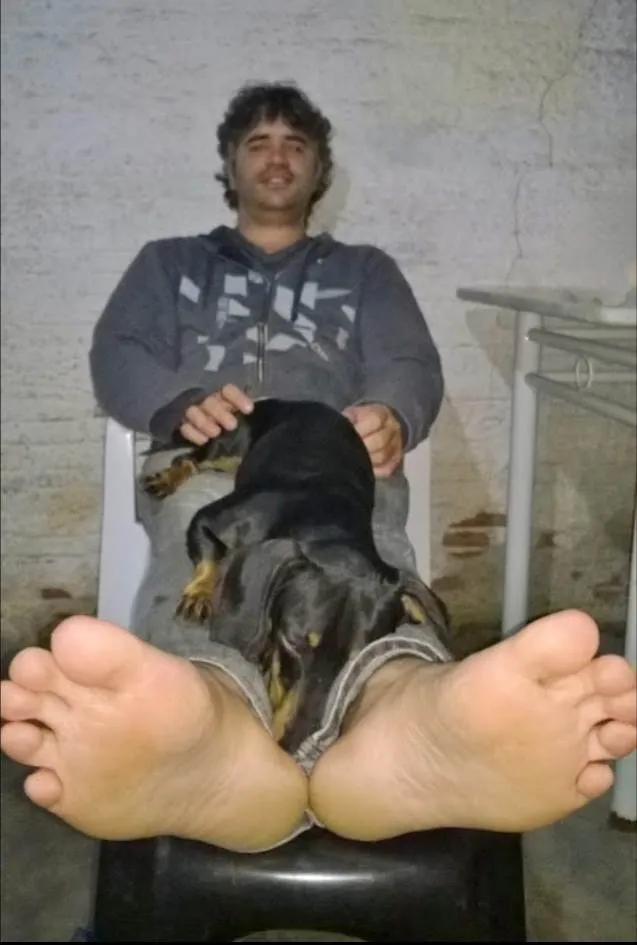 Cachorro ra a Daschund idade 4 anos nome Asdrubal