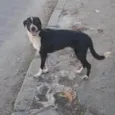 Marley 