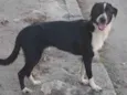 Marley 