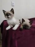 Bia e Bete