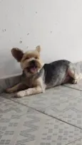 Rubi