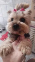 Rubi