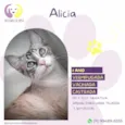 Alicia