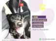 Basilio