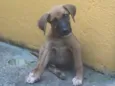 Paçoca