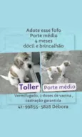 Toller