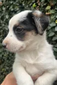 Benny