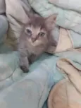 ..