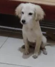 Billy