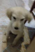 Billy