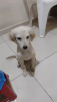 Billy