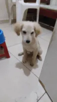 Billy