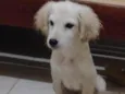Billy
