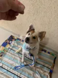 Jack
