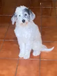 Nina