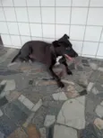 Preta