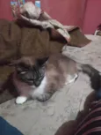 Lucy