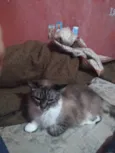 Lucy