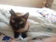 Milie