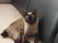 Milie