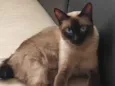 Milie