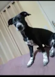 Jully