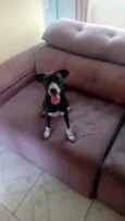 Jully