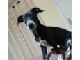 Jully