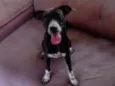 Jully