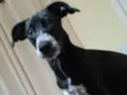 Jully