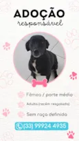 Pretinha