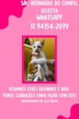 sem nome