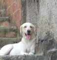 Lupita