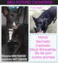 Vitório