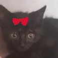 Rubi 