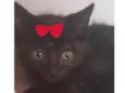 Rubi