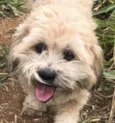 Bob 