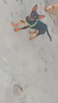 Bob