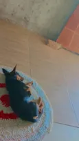 Bob