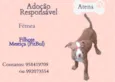 Atena