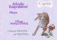 Capitu