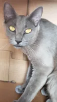 LUNA