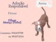 Atena