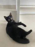Zoe