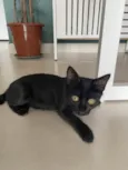 Zoe